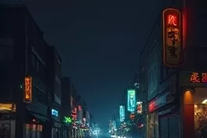 《雪落无声》封面,边境小镇被大雪覆盖的屋顶